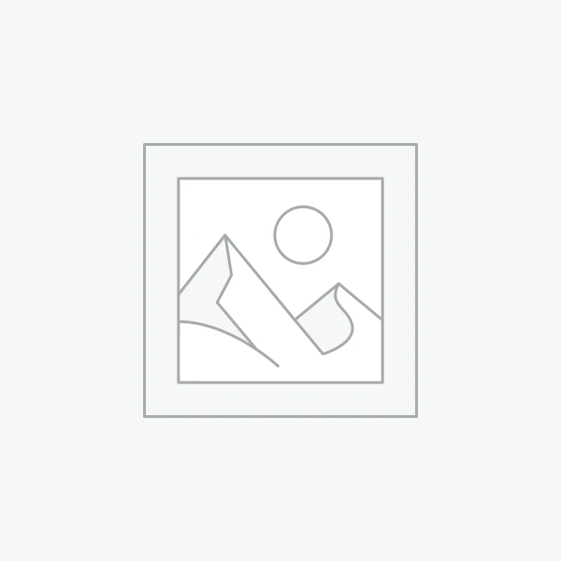 Mini skid Steer stand on 23hp